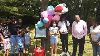dana Memorial