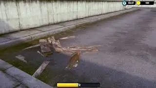 Little Strays Level 2