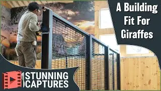Giraffe House Divider Install & Fabricated Detail