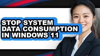 How to Stop System Data Consumption in Windows 11 (updated)