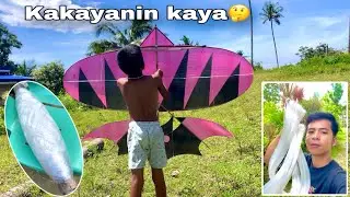 ISANG KILO AT KALAHATI TANSI KAKAYANIN KAYA NG SARANGGOLA DE PANIKI