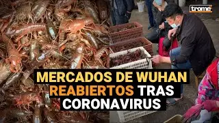 Así lucen los MERCADOS DE WUHAN tras su reapertura en China