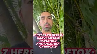 7 Herbs to Detox: Heavy Metals, Radiation, Air Pollution, & Chemicals. #wellness #detox #herbs