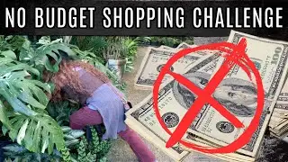 PLANT SHOPPING NO BUDGET CHALLENGE! ! Shop With Me  Rare Plants! Monstera Thai, Billietiae & others