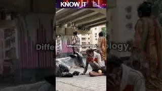 Если бы Землю посетили инопланетяне, были бы они дружелюбны?