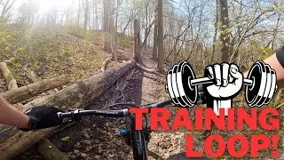 TRAINING LOOP TRAIL: First hits! Is it the BEST warm trail up in the Don Valley?