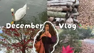 VLOG (9) : December Days Off: Forest Time, Home Cooking & Beautiful Moments with a Friend  