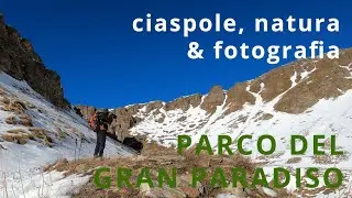 Ciaspole, natura e fotografia - al Nivolet