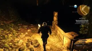 The Witcher 3 Wild Hunt - Один из многих багов №3