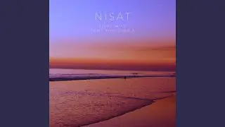 Nisat (feat. Towa Ainutronica) (Radio Edit)