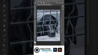 How To Remove Fence in Photoshop - Remove Fence with Simple Steps