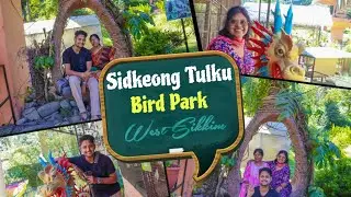 Discover the SECRET to Finding Rare Birds at Sidkeong Tulku Bird Park
