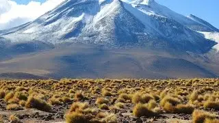 Reserva Los Flamencos-Miscanti & Minuques Lagon into Atacama Desert|TRIP SOUTH AMERICA|