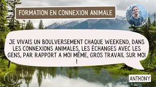 T&eacute;moignage Anthony - Formation professionnelle Connexion animale