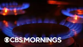Dozens of cities move to ban gas appliances