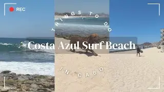 Things to Do in Cabo: Surf at Costa Azul Beach in San Jos&eacute; del Cabo