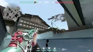 Haven C Cite Sage Wall Glitch