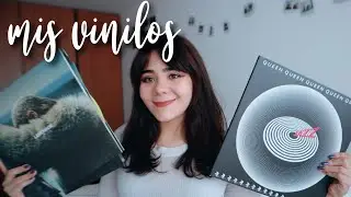 Mi colecci&oacute;n de discos de vinilo