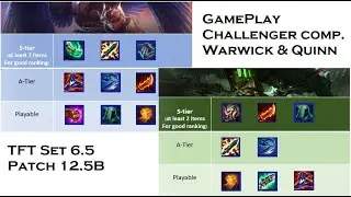 Challenger Warwick gone wilddd TFT set 6.5 Patch 12.5B