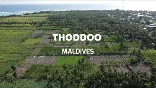 Thoddoo 