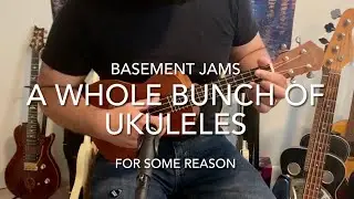 A Bunch of Ukuleles! Ibanez, SanDona, Kalani, Tanglewood, Aurora, Sopranino…