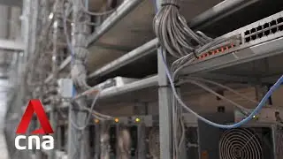Crypto crashes, bankruptcies spark calls for tighter regulations even as users demand less rules