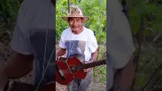 EL MERO TORO INDOMABLE JUNIOR 7 EN HONDURAS