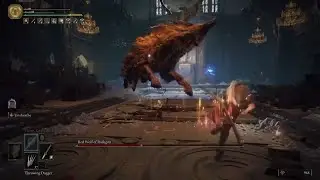 Elden Ring - Red Wolf of Radagon (RL1 NG+7, No Damage)