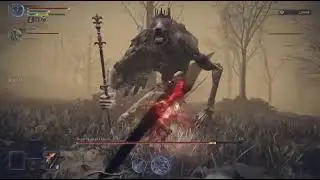 A very fortunate yet chaotic expedition