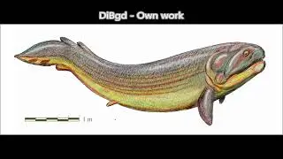 Rhizodus - Shark-sized Predatory Fish (With Fangs)