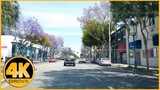 Driving Tour of Santa Monica Blvd (Laurel Ave to Sunset Blvd) [4K]