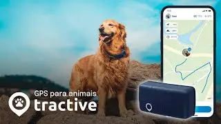 NÃO PERCAS OS TEUS ANIMAIS COM O TRACTIVE 🐶🐱❤️