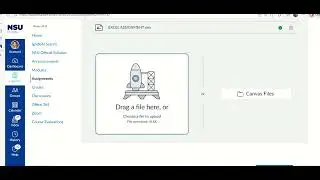 Excel Screencast for Data Analytics for Audit