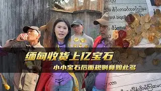 緬甸收貨上億寶石小小寶石後面規則竟如此多｜彩礦一鳴珠寶｜一鳴珠寶｜Srilanka GemKing｜SapphireSource ｜