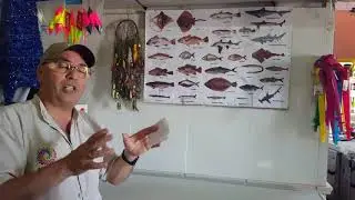 PECES QUE PUEDEN PESCAR EN LA COSTA Y A CUALES SON PELIGROSOS