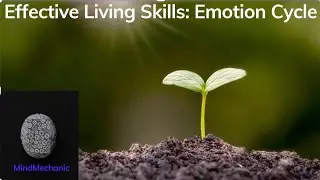 Effective Living Skills: Emotion Cycle
