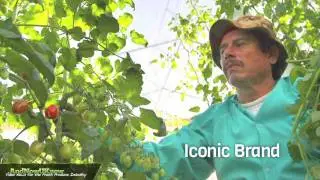 AndNowUKnow: Green Giant Fresh - Special Report