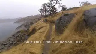 Millerton Lake Mountain Biking & Kayaking Blue Oak Trail South Shore