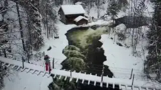 Snowfall in Oulanka National Park (4K)