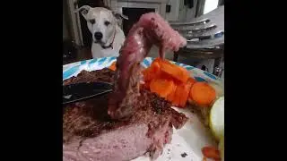 steak Saturday for sadiedog ! (spoiled)