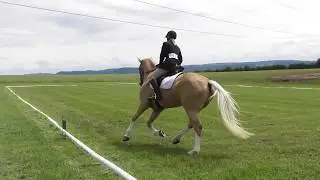 The Long Way Home ~ Catherine MacLellan ~ Pengethley Show