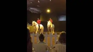 Opening act Haras du Pin (French National Stud)