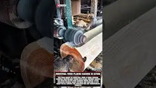 Industrial Wood Planing Machine in Action #woodworking #wood #carpentry #woodwork