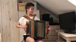 Hallelujah (Leonard Cohen) - Steirische Harmonika