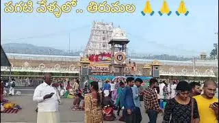 తిరుమల.రావడానికి వీలు లేని.. భక్తులు. కొరకు 🙏🙏🙏🙏🙏🙏🙏
