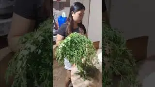 Mag luto Nanaman tayo guys ng hapunan