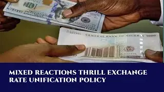 Mixed Reaction Thrill Naira, Dollar Exchange Rate Unification Policy