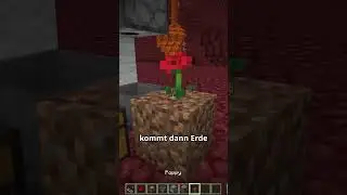 Die einfachste Honigfarm in Minecraft