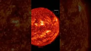Crown Prominence Collapses: Solar Polar #Vortex!