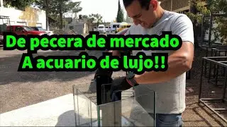 Tunéame el acuario: “El acuario de marca registrada” ft @Lixa Peceras